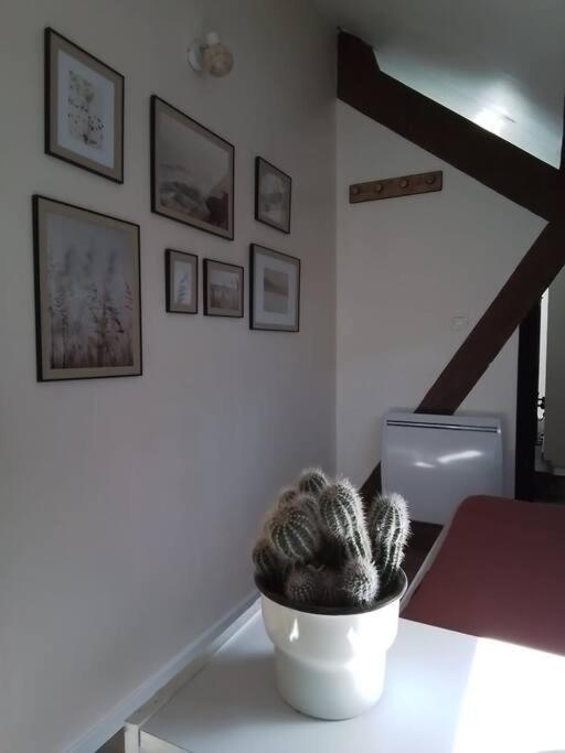 Charmante Petite Maison Vieux  Luaran gambar